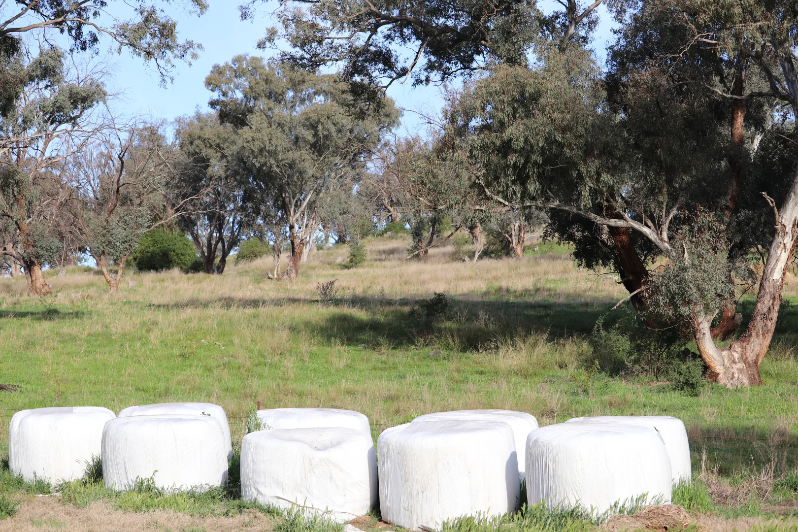 Additional image 31 of 2350 George Russell Drive, Canowindra NSW 2804