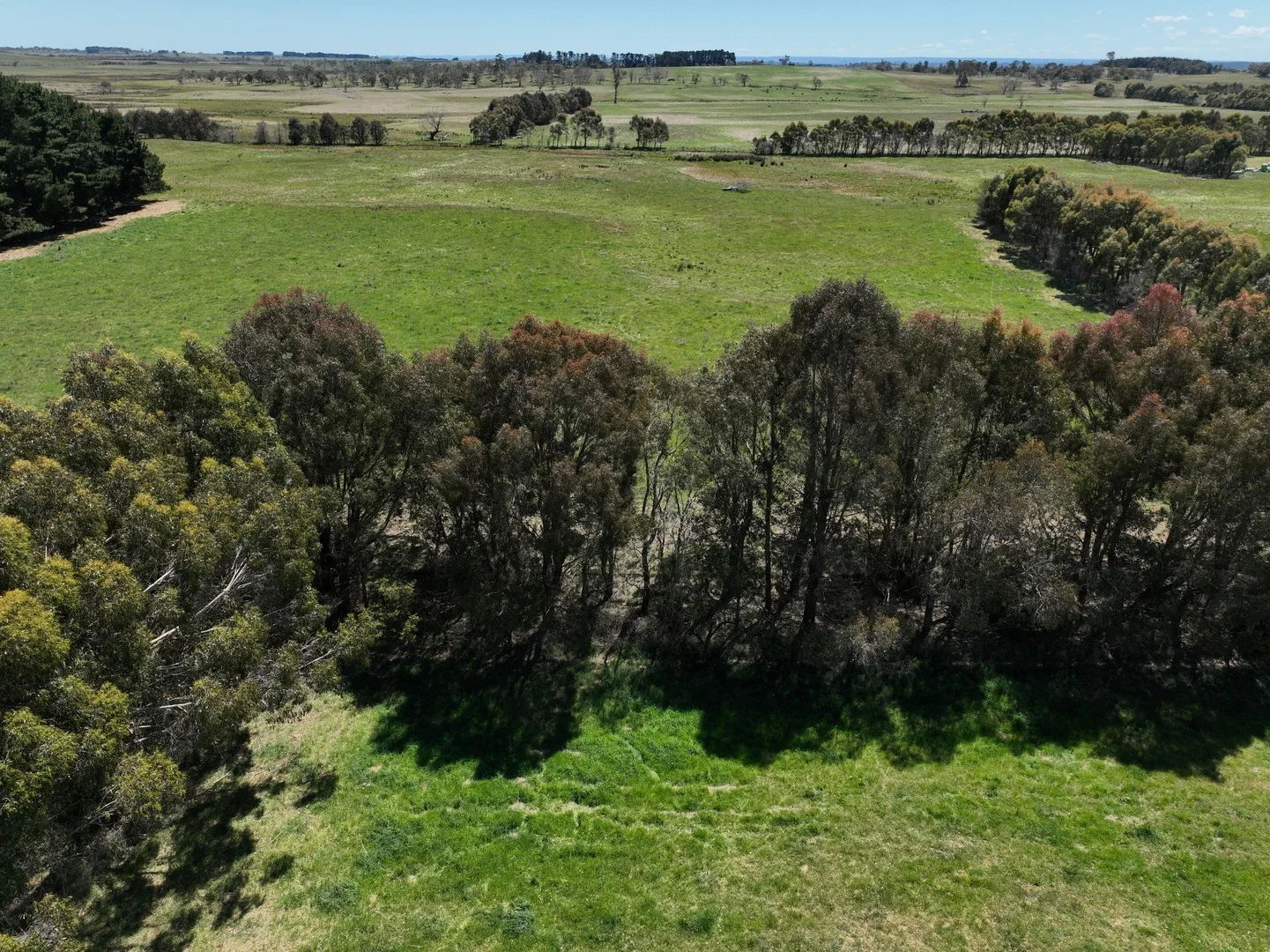 Additional image 2 of Lot 1 Mount Rae Road, Roslyn, Crookwell NSW 2583
