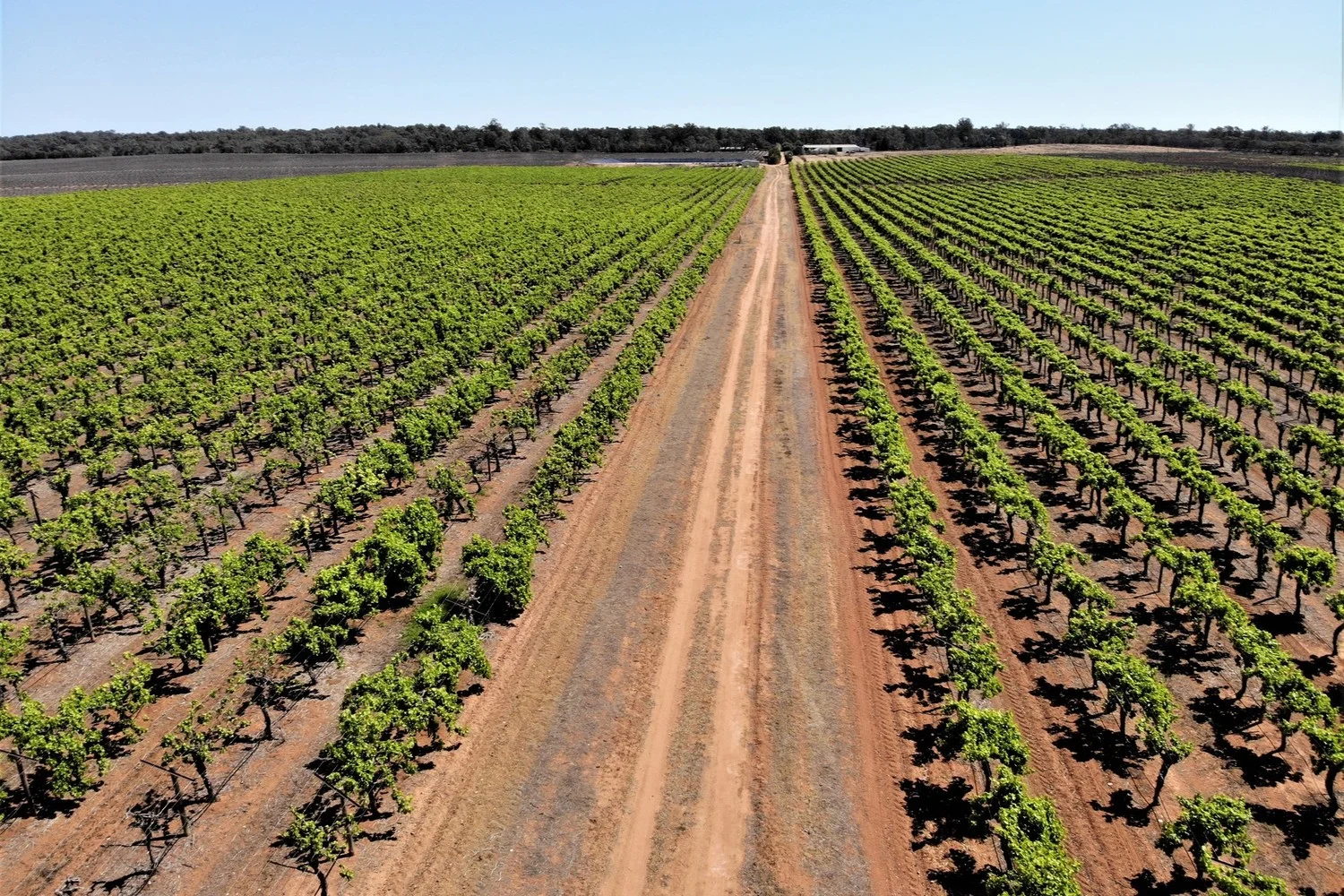 Additional image 14 of 2756 Tapalin Mail Road, Euston NSW 2737