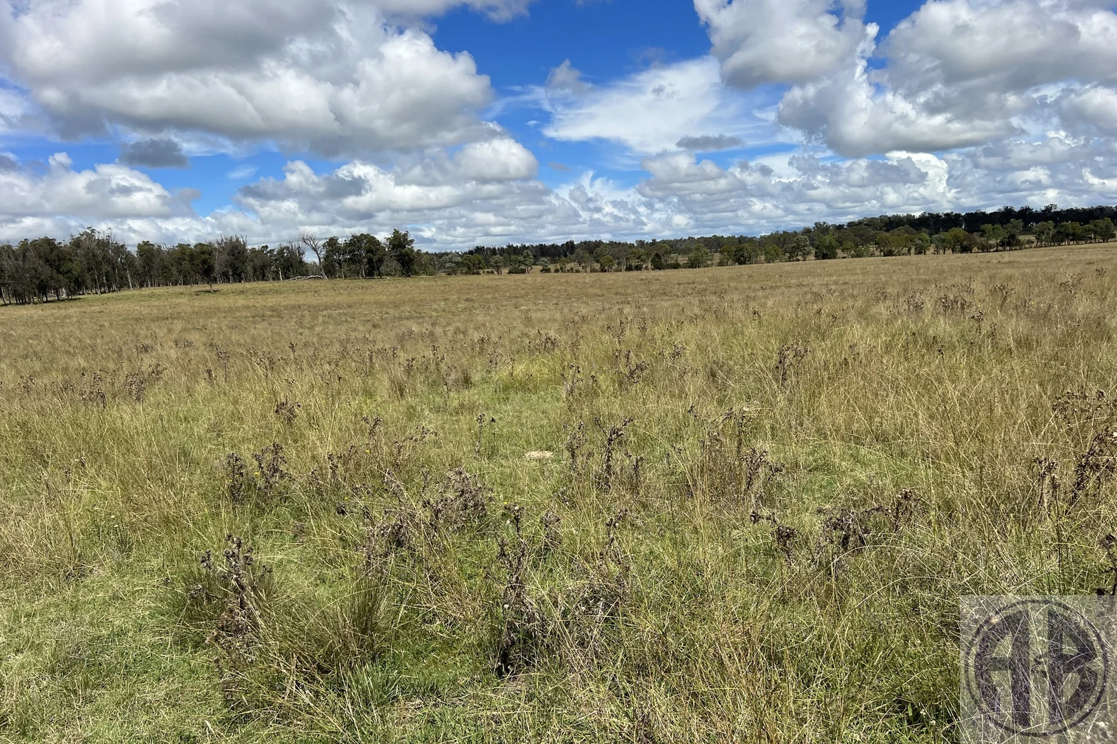 Additional image 7 of Uralla NSW 2358