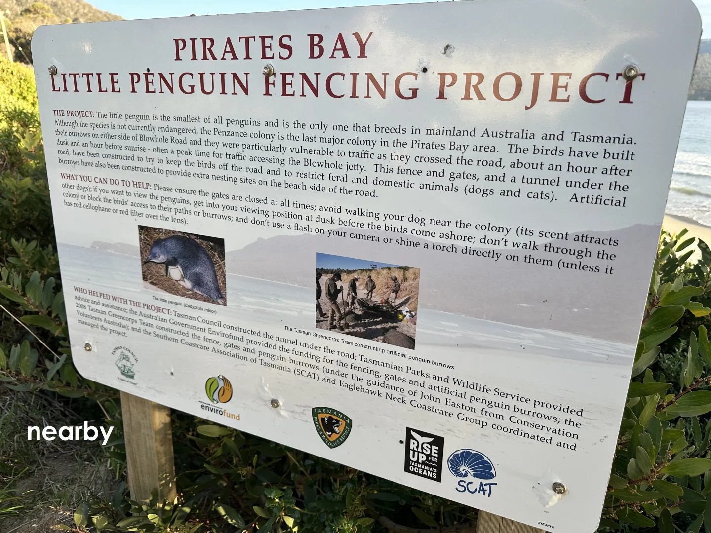 Additional image 32 of 4 Caribbean Court, Eaglehawk Neck TAS 7179