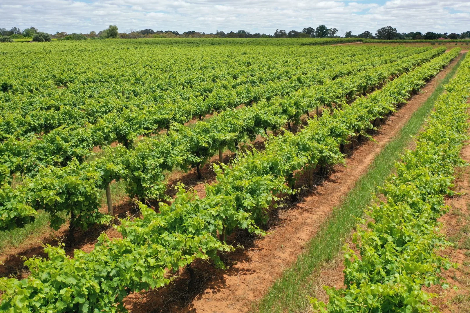 Additional image 4 of Lot 2/70 Belar Avenue Extension, Irymple VIC 3498