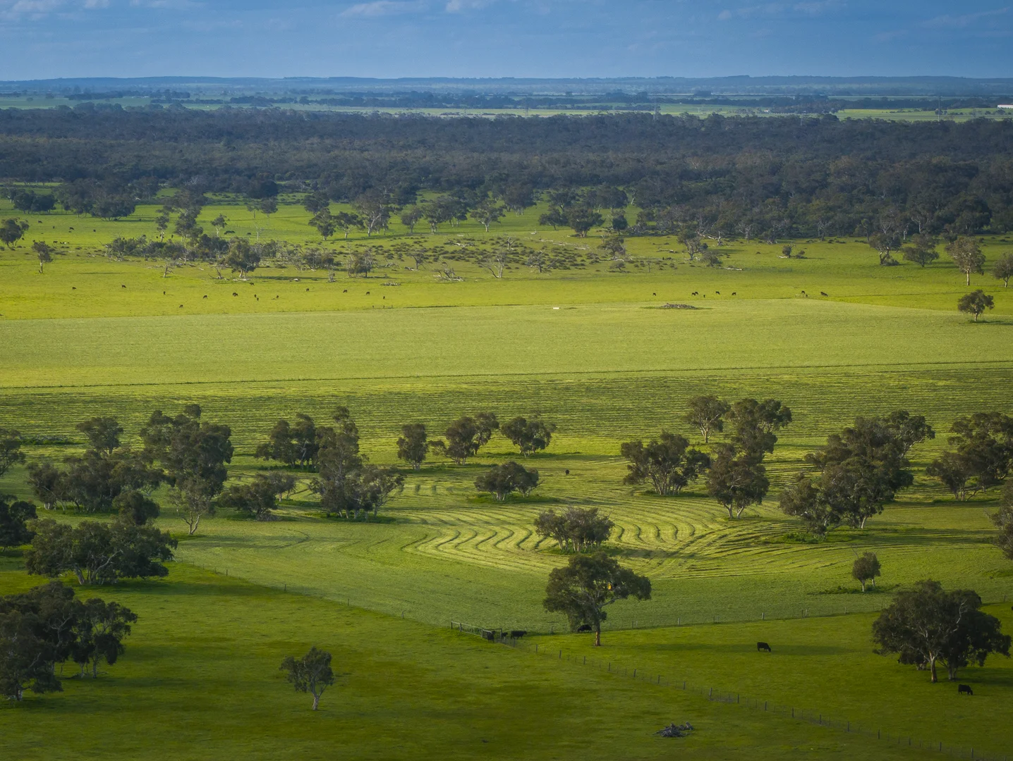 Additional image 23 of 325 Maranoa Downs Road, Stewart Range SA 5271
