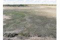 Additional image 8 of 16XXX W Lance Hill Rd, Cheney, WA, 99004
