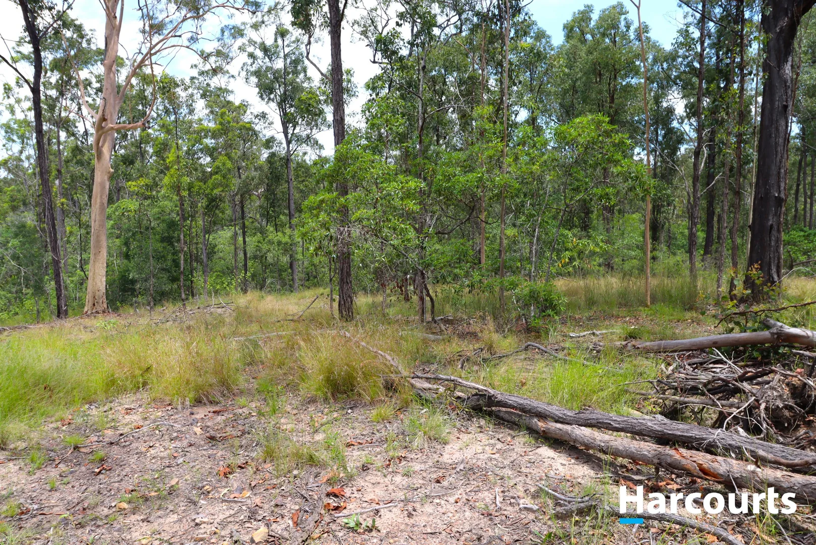 Additional image 8 of 29790 Bruce Highway, Apple Tree Creek QLD 4660
