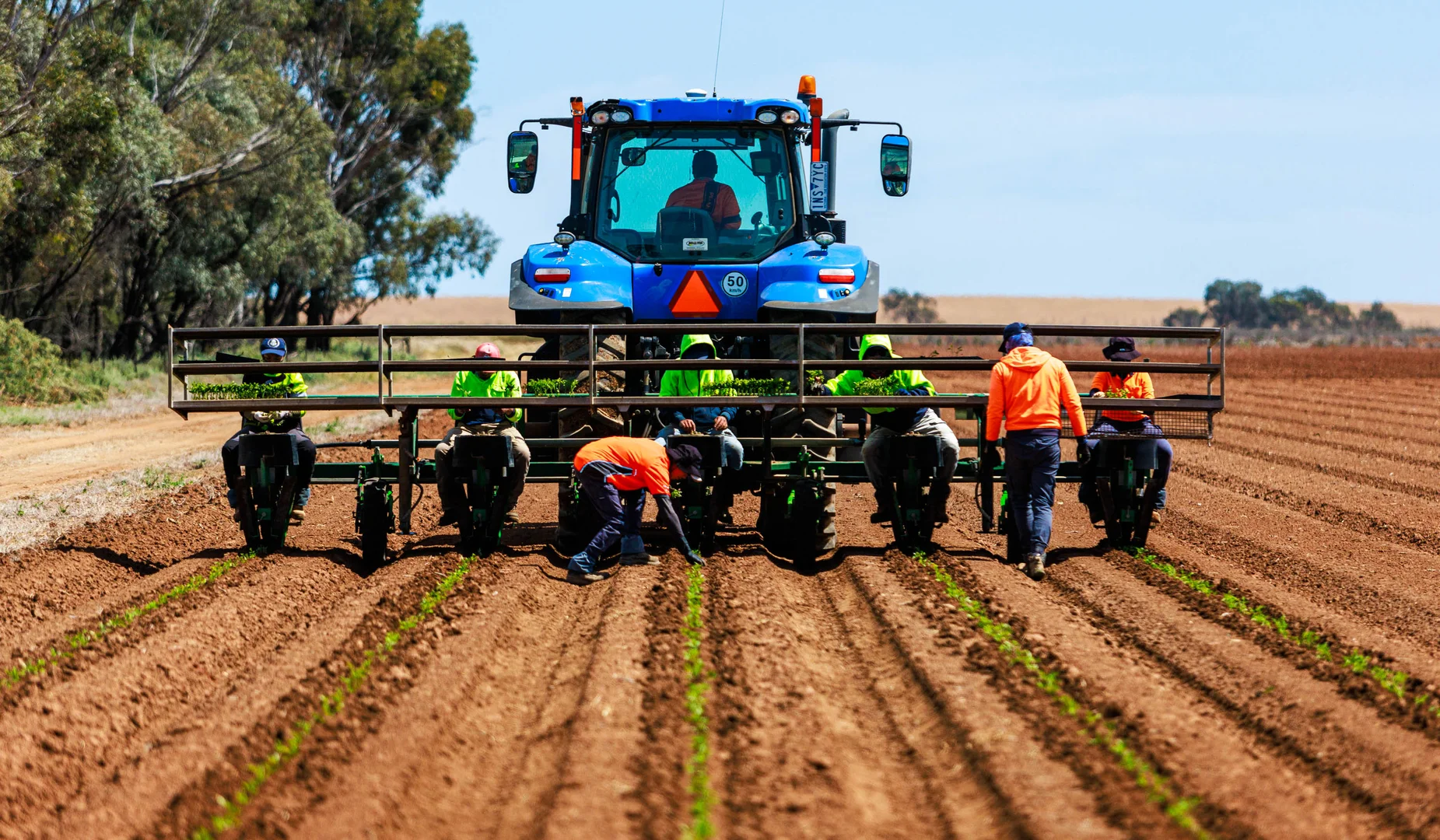 Additional image 15 of Winlaton VIC 3585