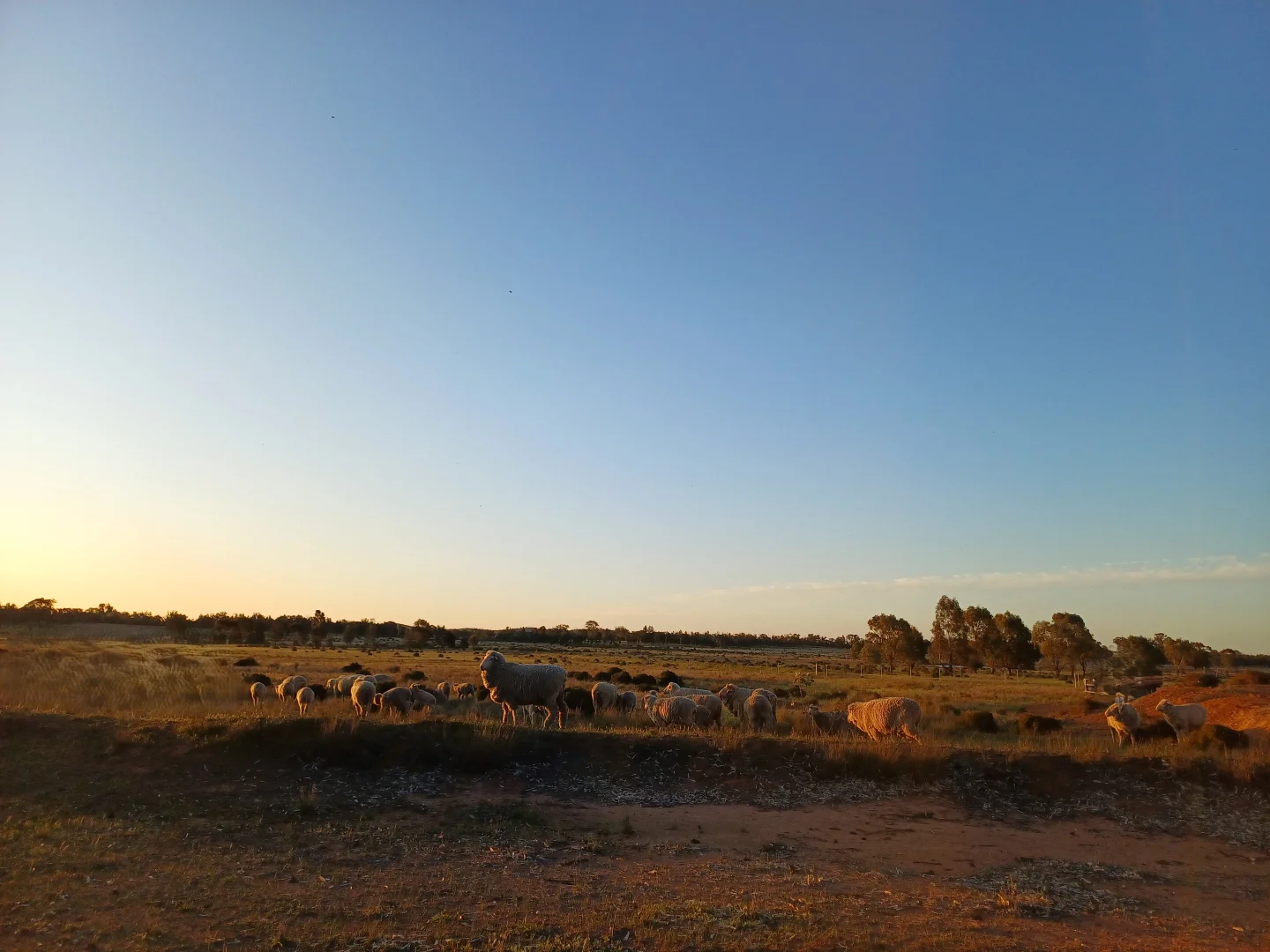Additional image 9 of Lagoon Creek Road, Minore NSW 2830