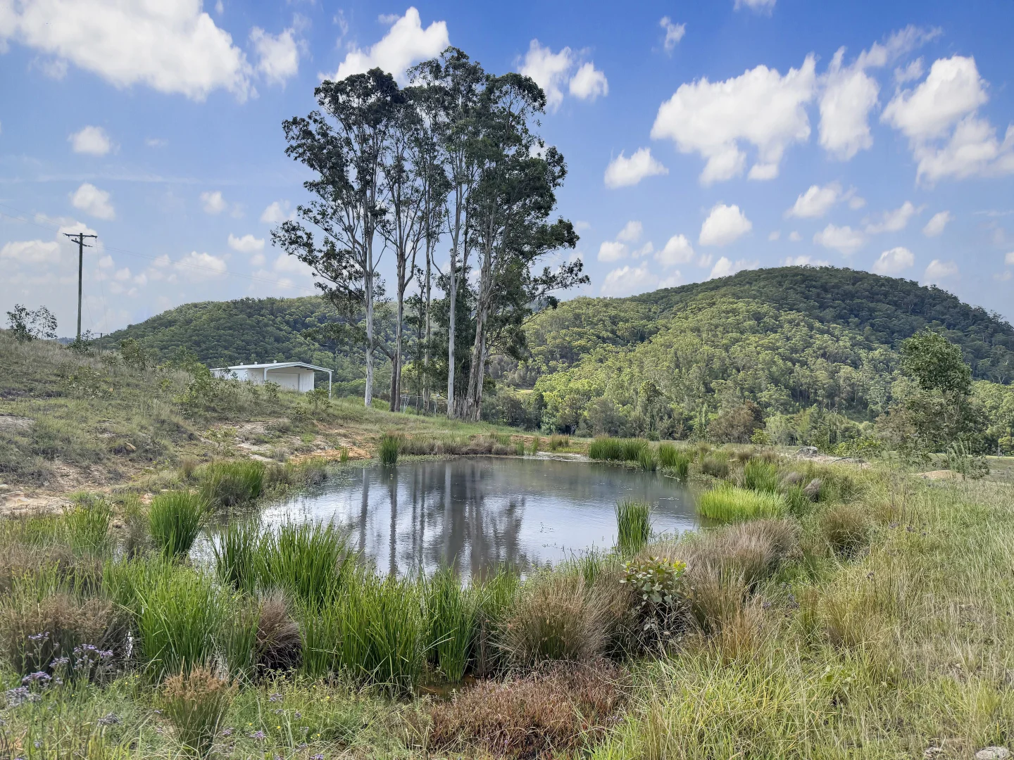 Additional image 5 of Lot 6 Paynes Crossing Rd, Paynes Crossing NSW 2325