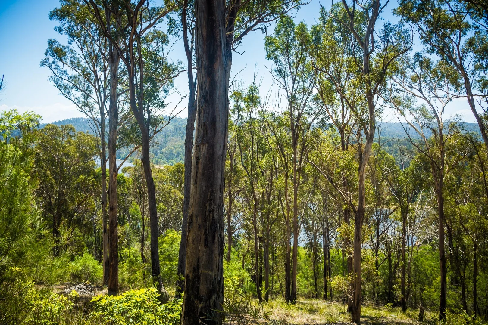 Additional image 12 of 3 Thompson Drive, Tathra NSW 2550