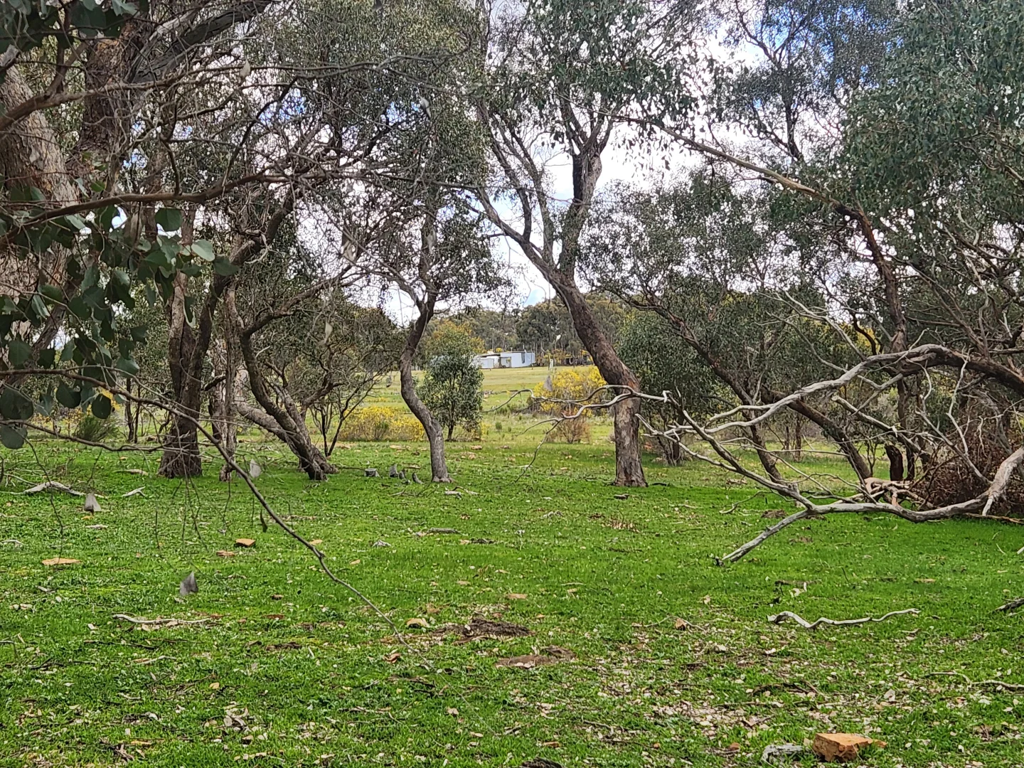 Additional image 14 of 244 Killeens Lane, Derrinal VIC 3523