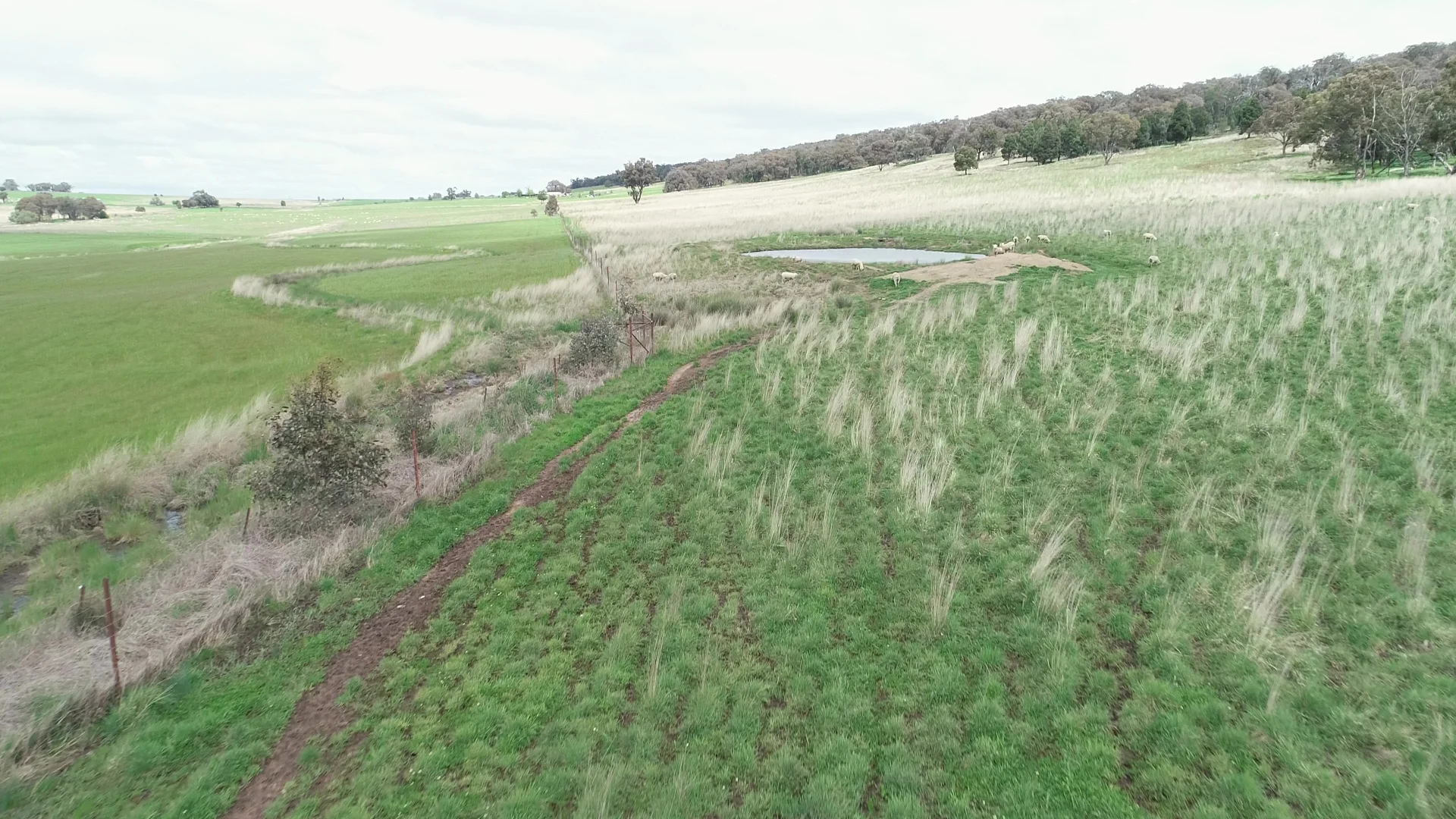 Additional image 6 of 823 Peabody Road, Molong NSW 2866