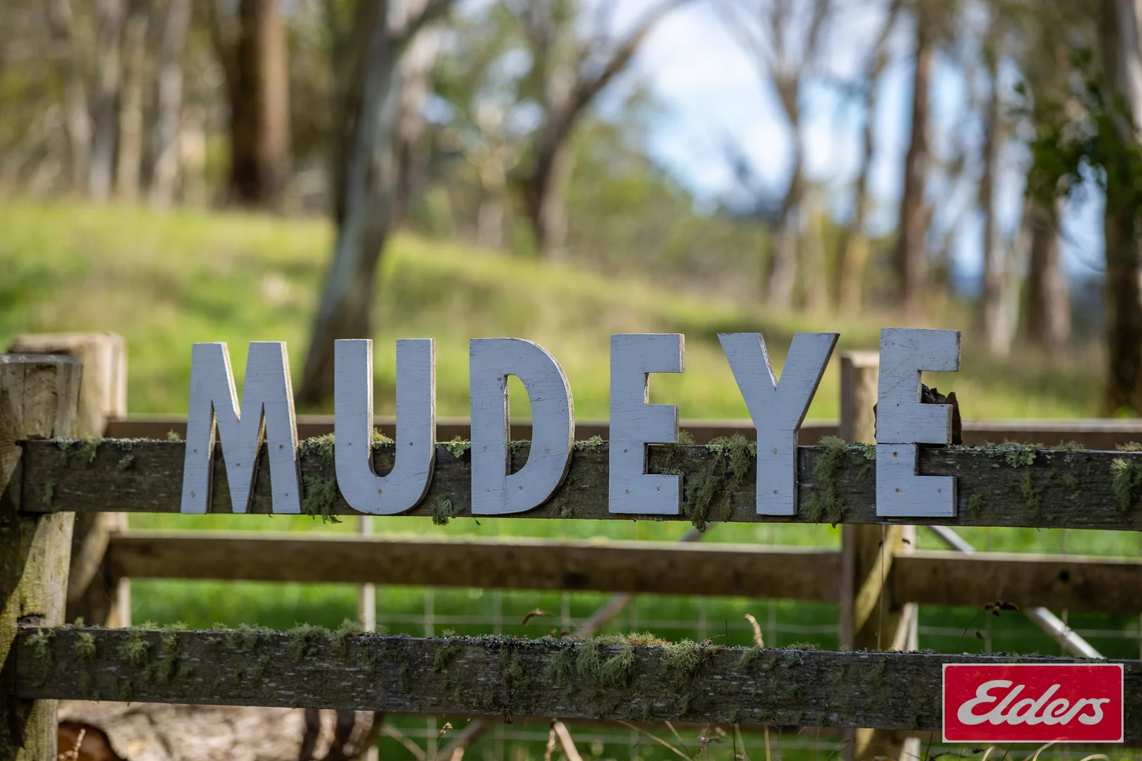 Additional image 10 of 72 Guyra Road, Ebor NSW 2453