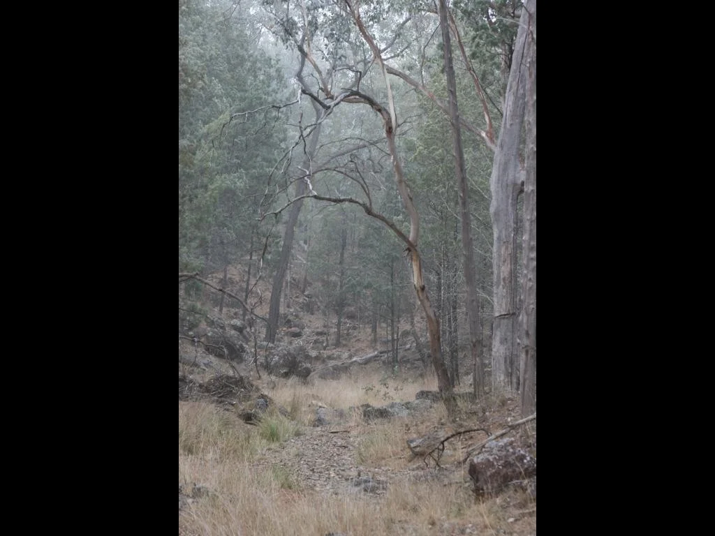 Additional image 10 of Limevale QLD 4384