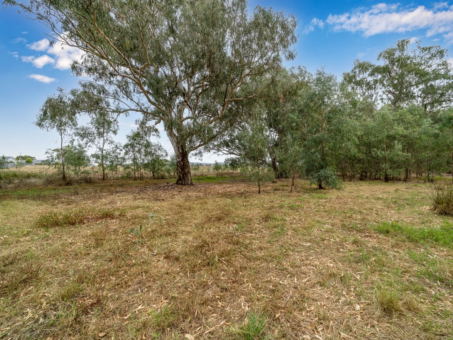 Additional image 6 of Lot 31 Wonga Park Drive, Waldara VIC 3678