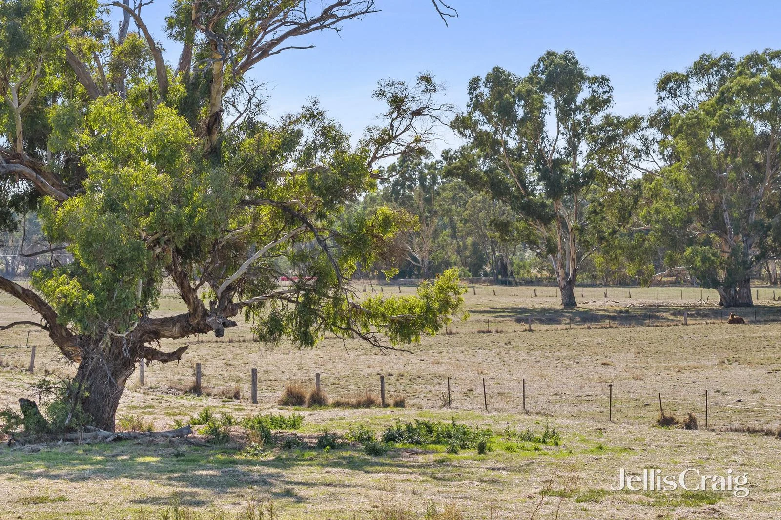 Additional image 14 of 39 Symes Road, Muckleford South VIC 3462