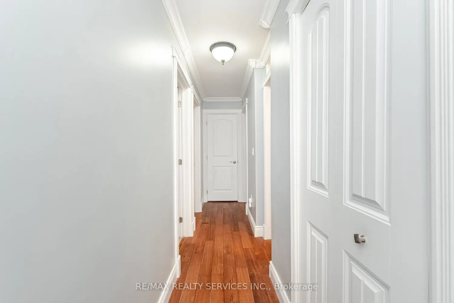 Additional image 11 of 234 Elizabeth Street