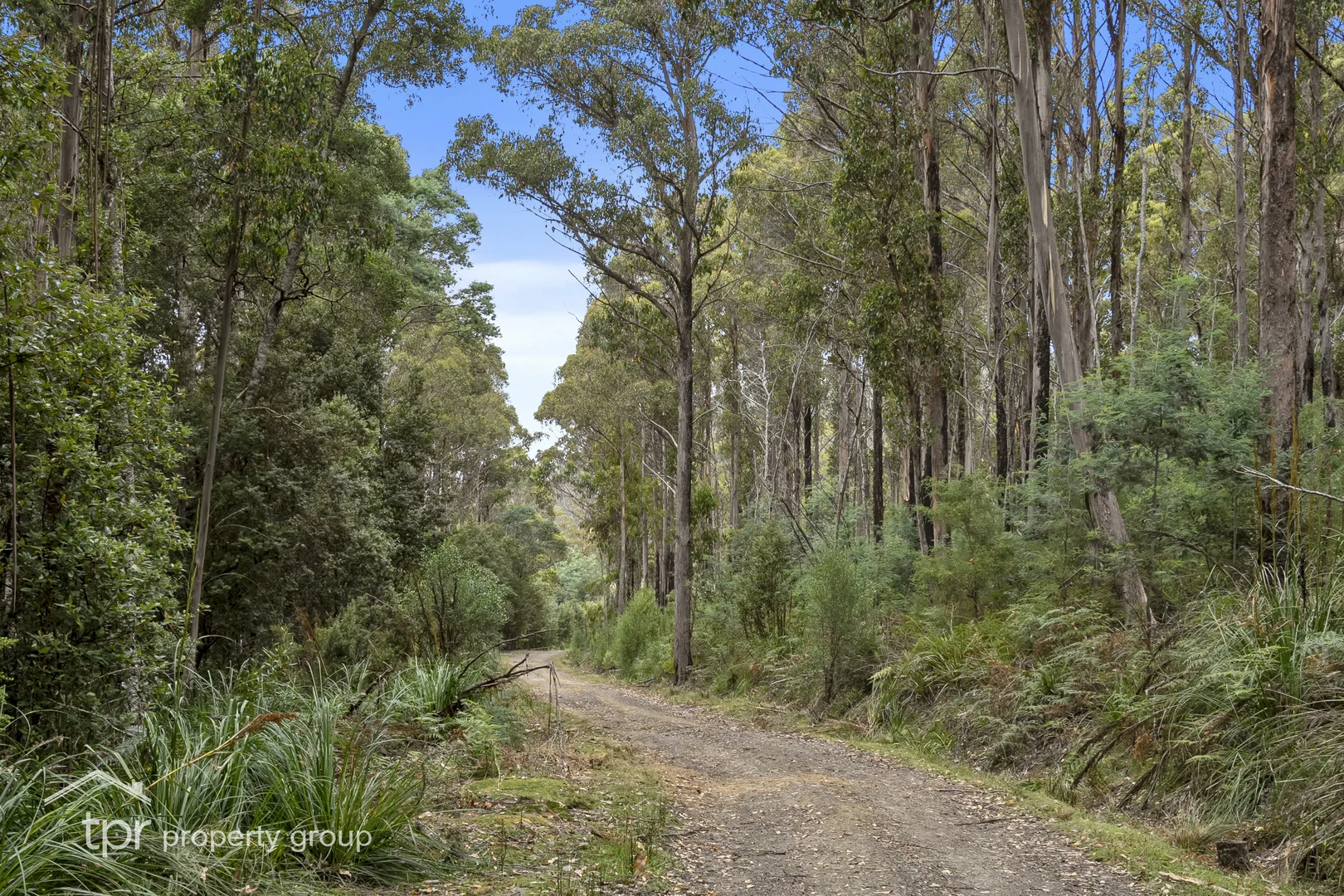 Additional image 6 of Lot 2 Kermandie River Road, Geeveston TAS 7116