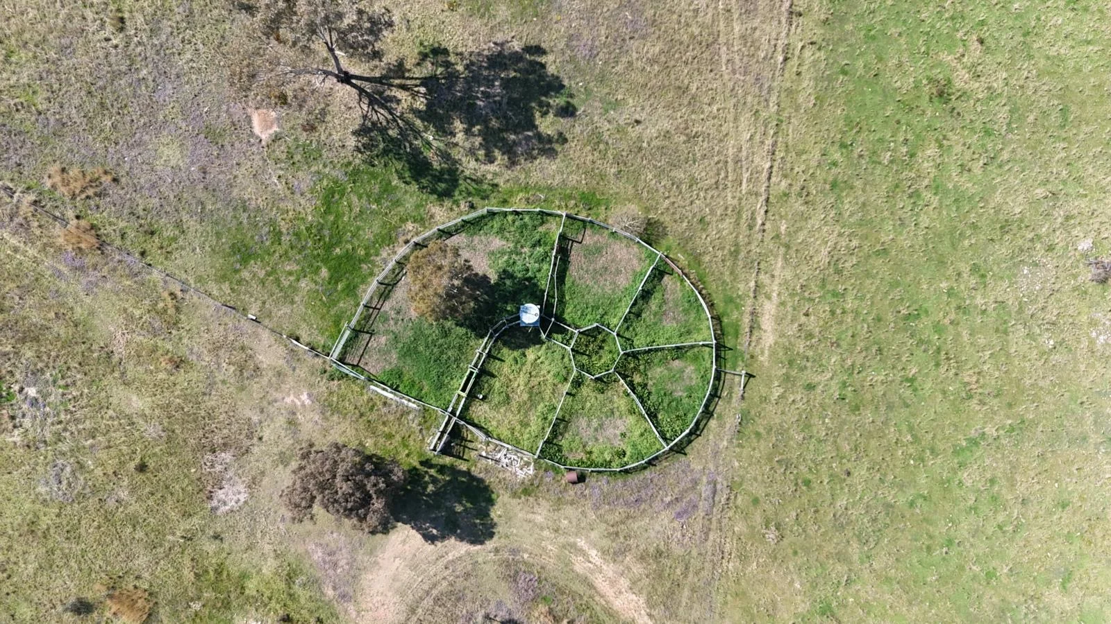 Additional image 9 of "Coolendoon" 810 The Pocket Road, Bukkulla NSW 2360