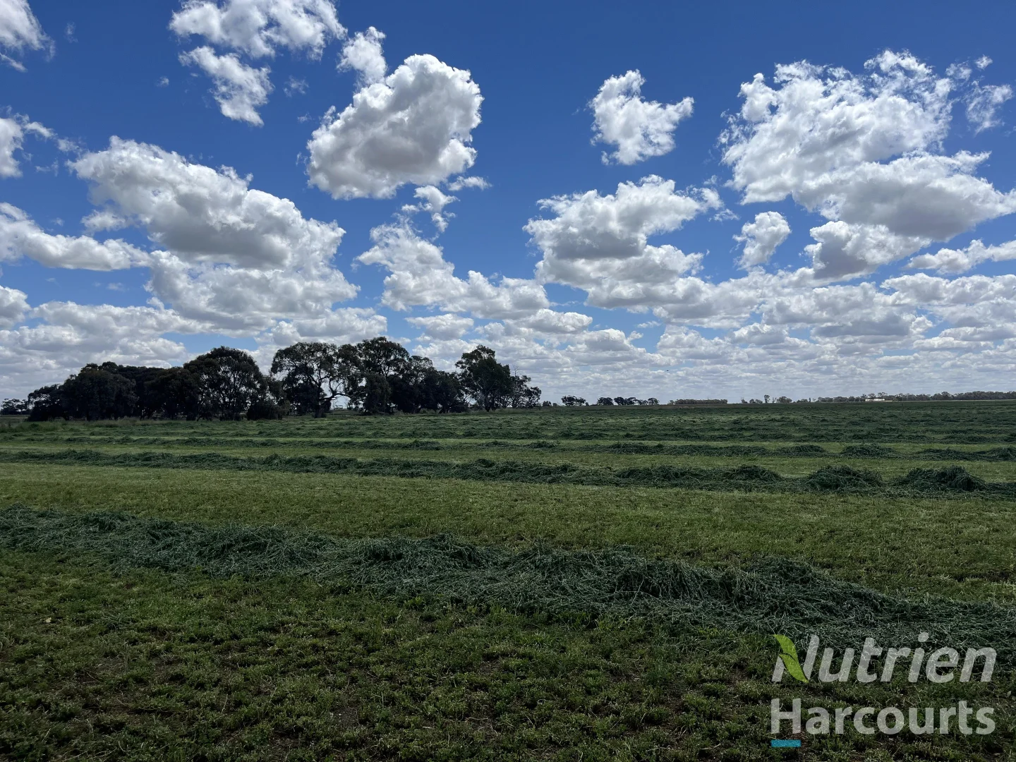 Additional image 18 of . Echuca Nanneella Road, Nanneella VIC 3561