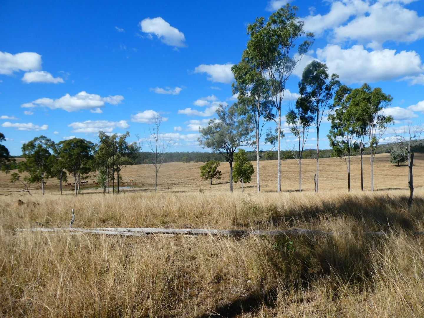 Additional image 25 of NRN BEERON ROAD, Beeron QLD 4626