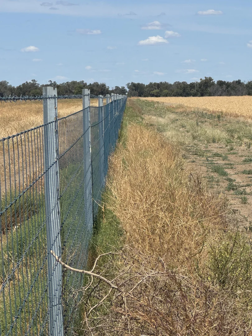 Additional image 13 of 3282 Gungalman Road, Carinda NSW 2831