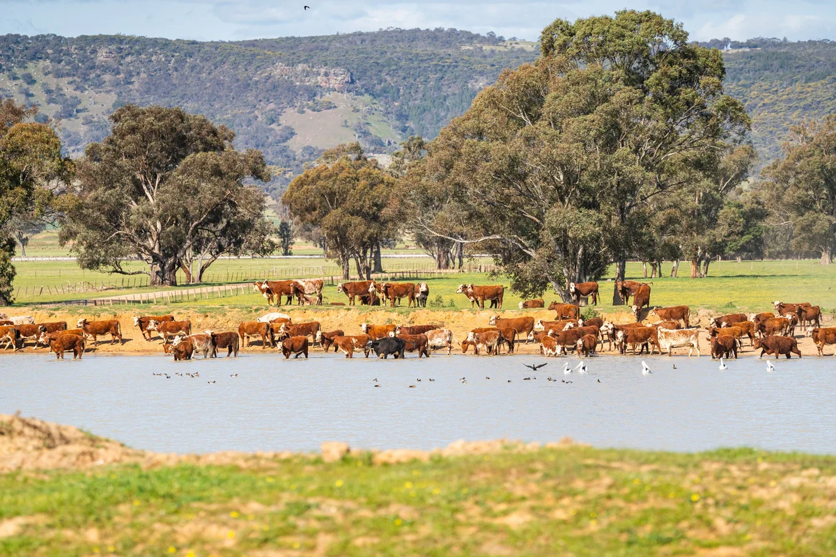 Additional image 8 of 1791 Olympic Highway, Culcairn NSW 2660
