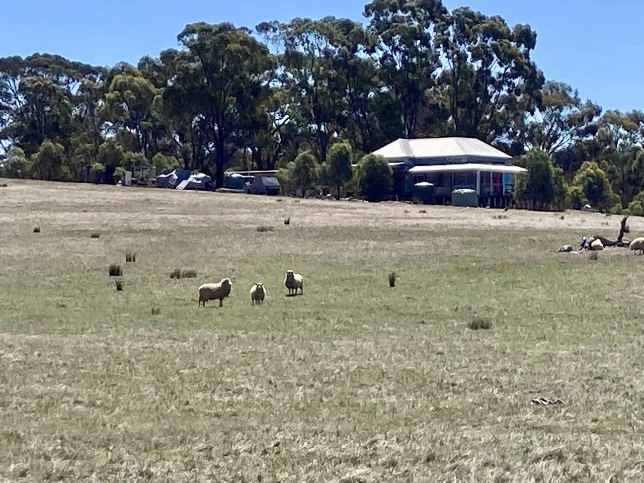 Additional image 4 of 355 Lillicur Road, Amherst VIC 3371