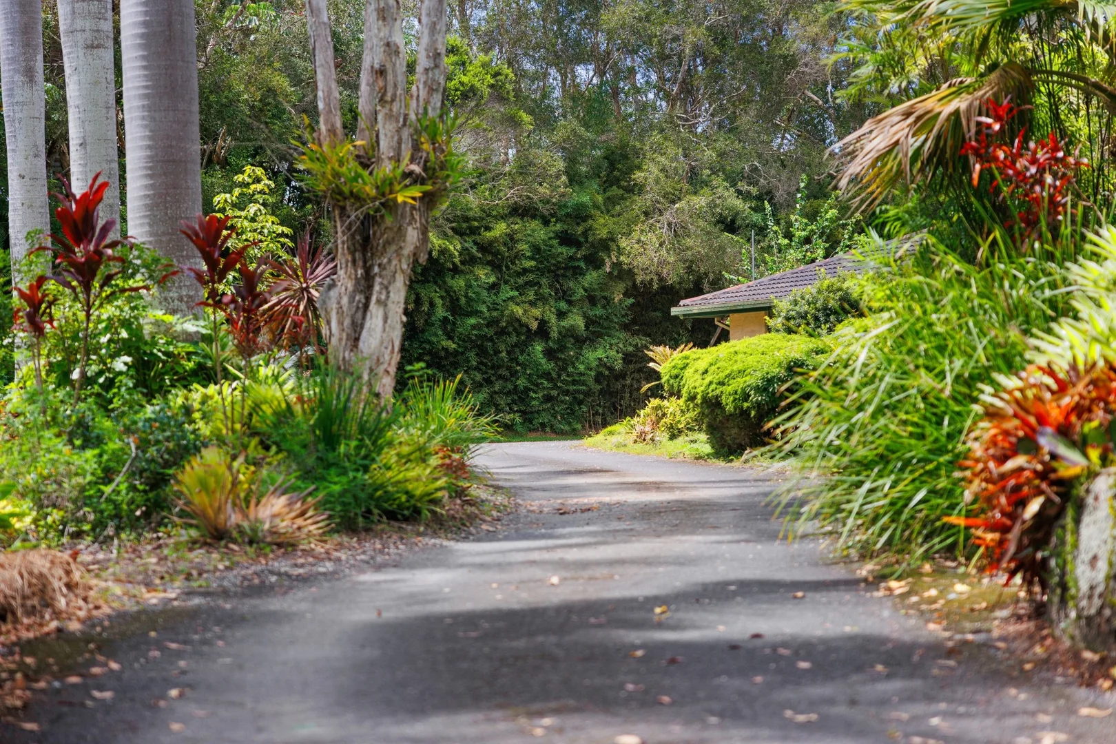 Additional image 2 of 364 Ewingsdale Road, Byron Bay NSW 2481