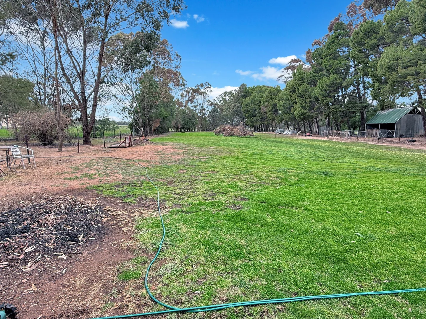 Additional image 17 of 442 Irrigation Way, Narrandera NSW 2700