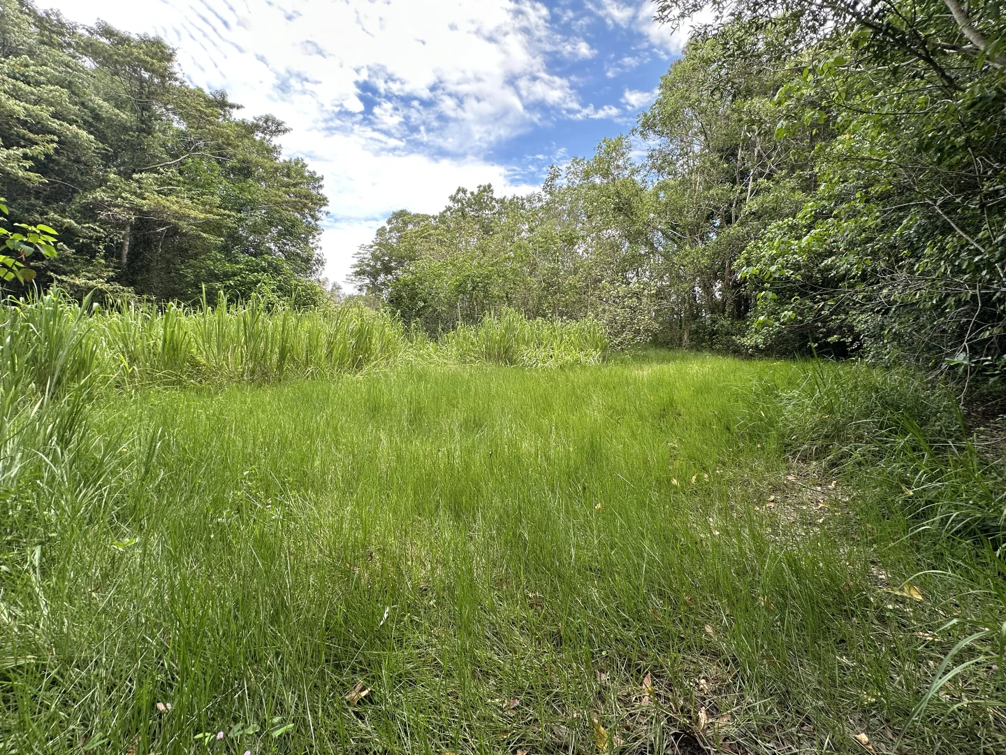 Additional image 24 of 680 Bluff Road, Bilyana QLD 4854