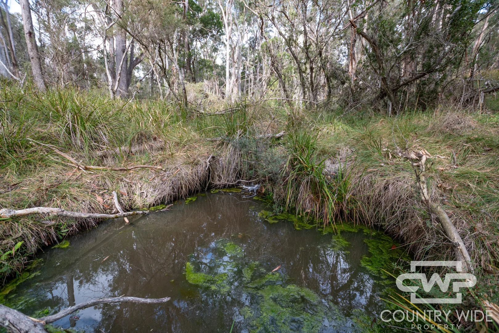 Additional image 7 of 10 Tablelands Road, Red Range NSW 2370