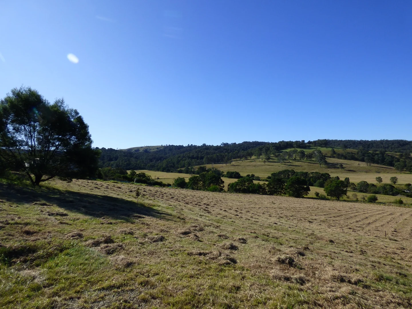 Additional image 6 of Lot 4 Mallyon Close, Lochiel NSW 2549
