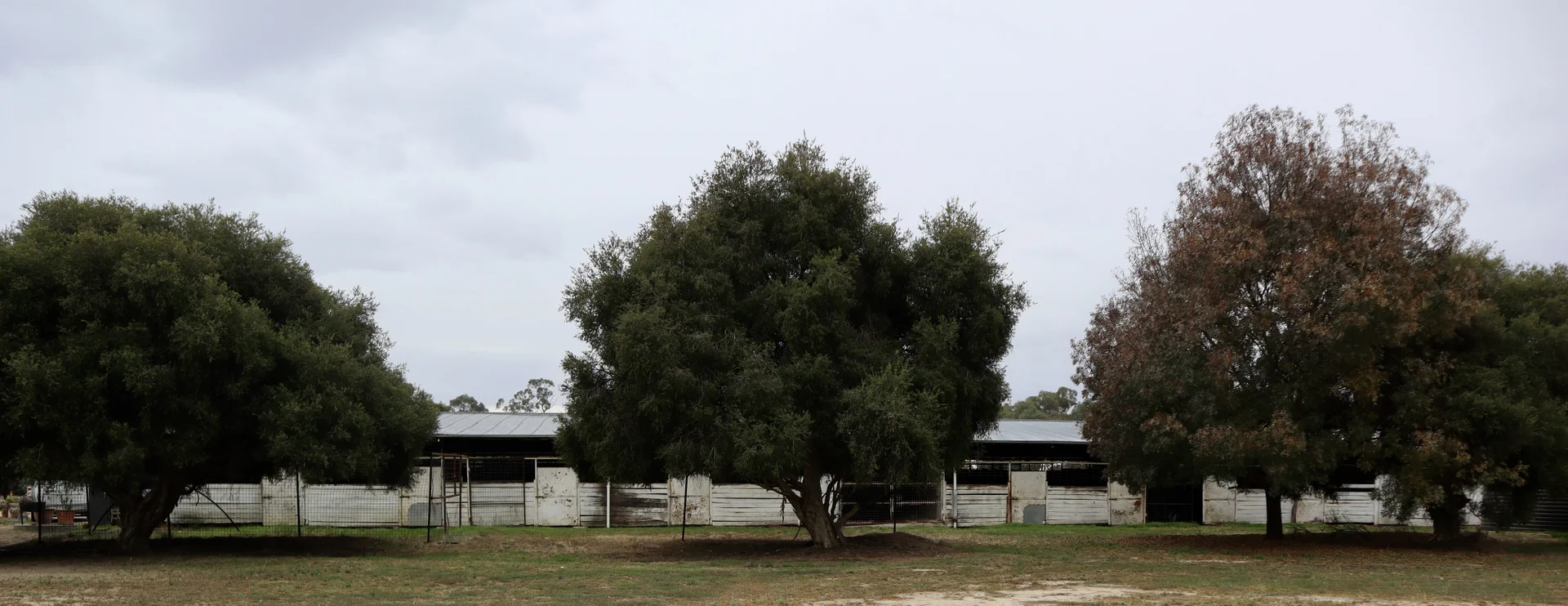 Additional image 31 of Lot 3/210-230 Orford St, Corowa NSW 2646