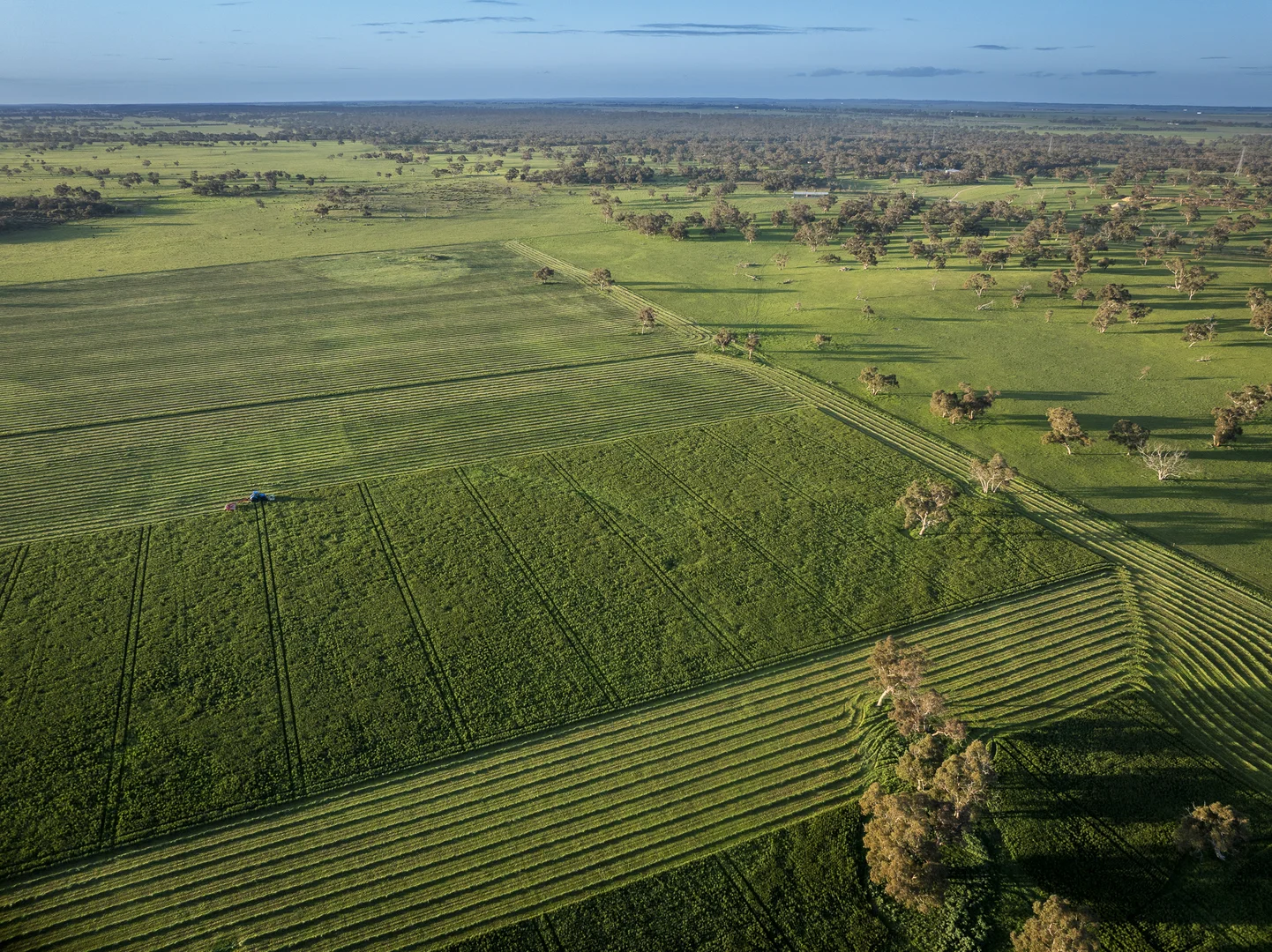 Additional image 3 of 325 Maranoa Downs Road, Stewart Range SA 5271
