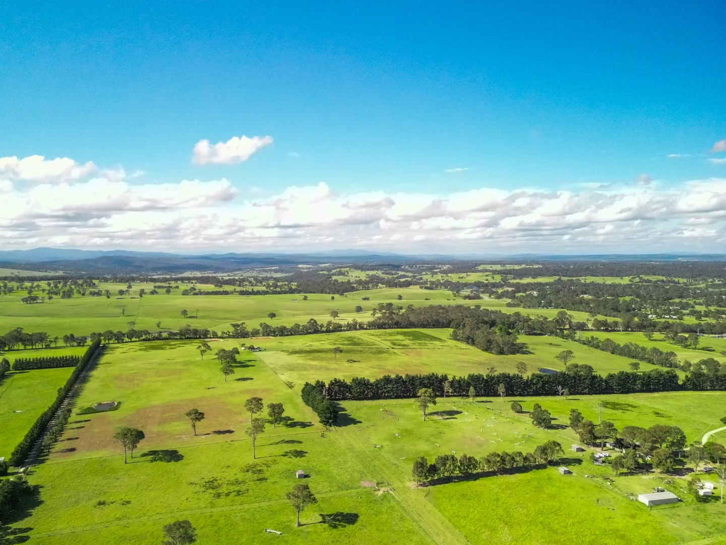 Additional image 6 of 500 Olivers Rd, Nicholson VIC 3882