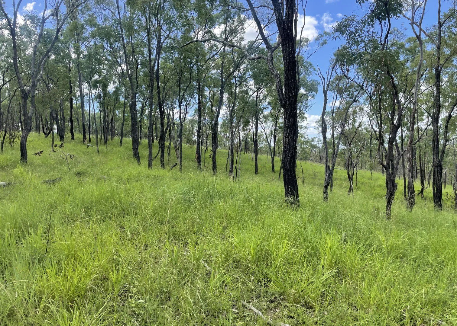 Additional image 8 of L52 Campbell Creek Road, Campbell Creek, Gayndah QLD 4625