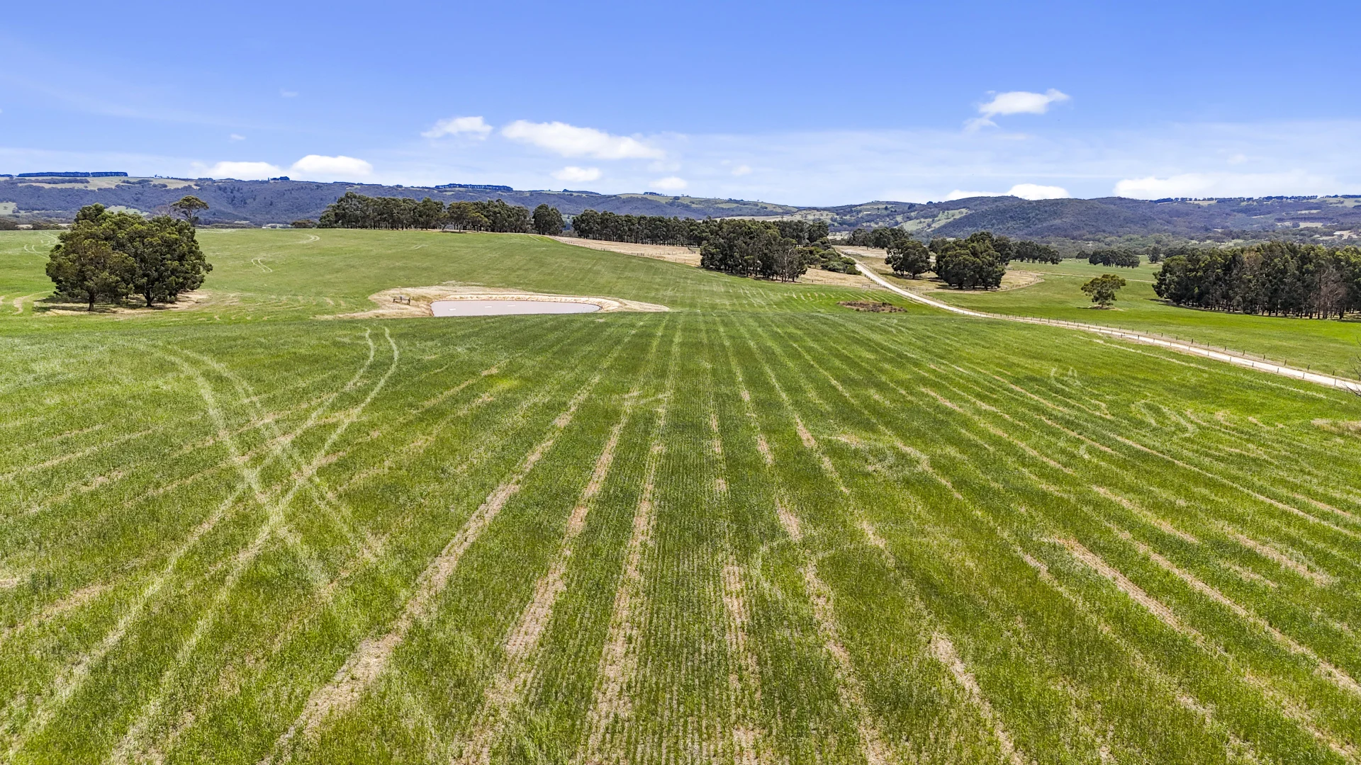 Additional image 39 of 228 Hutchinson Road, Hindmarsh Valley SA 5211