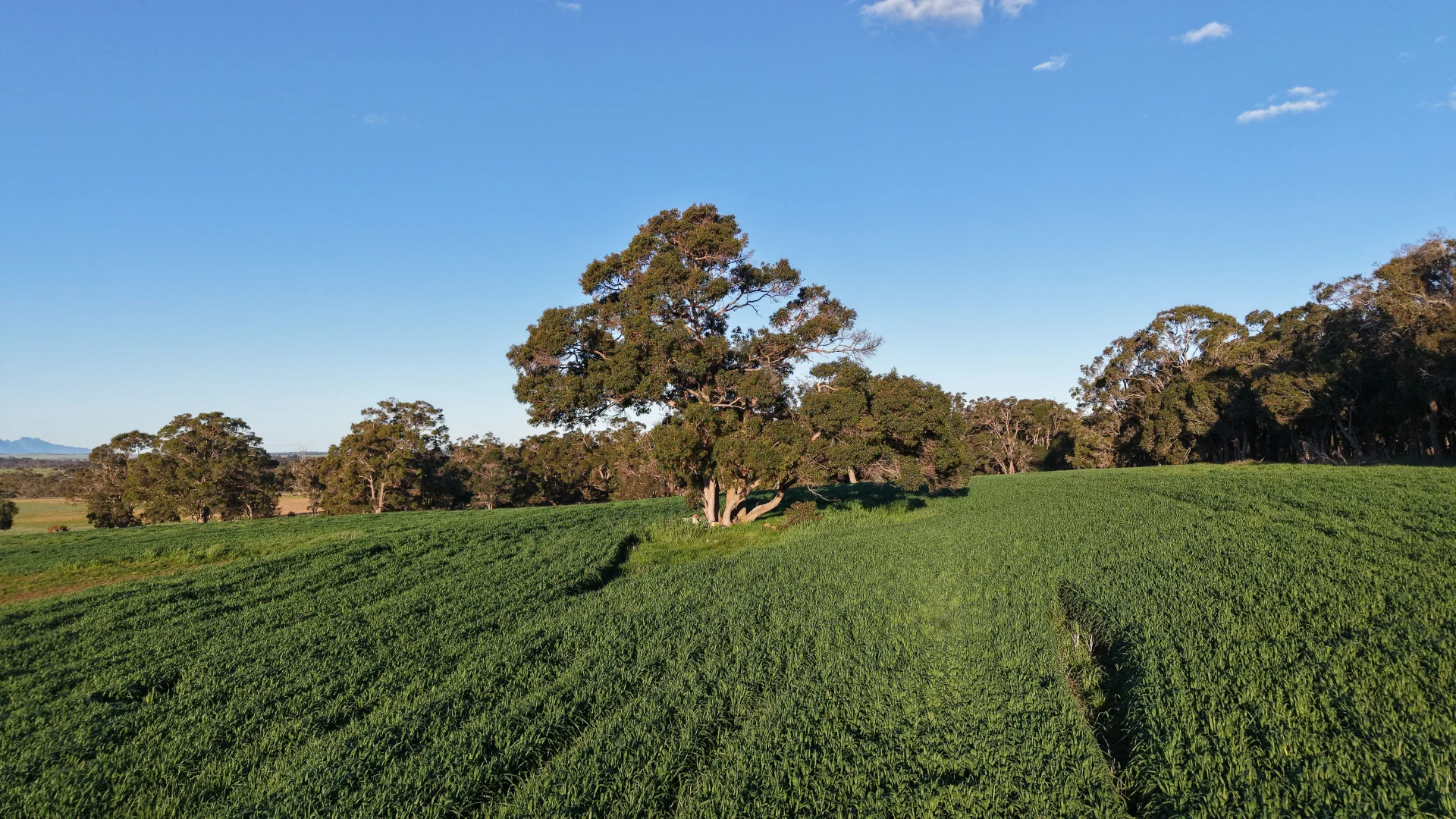 Additional image 13 of 491 Knight Road, Porongurup WA 6324