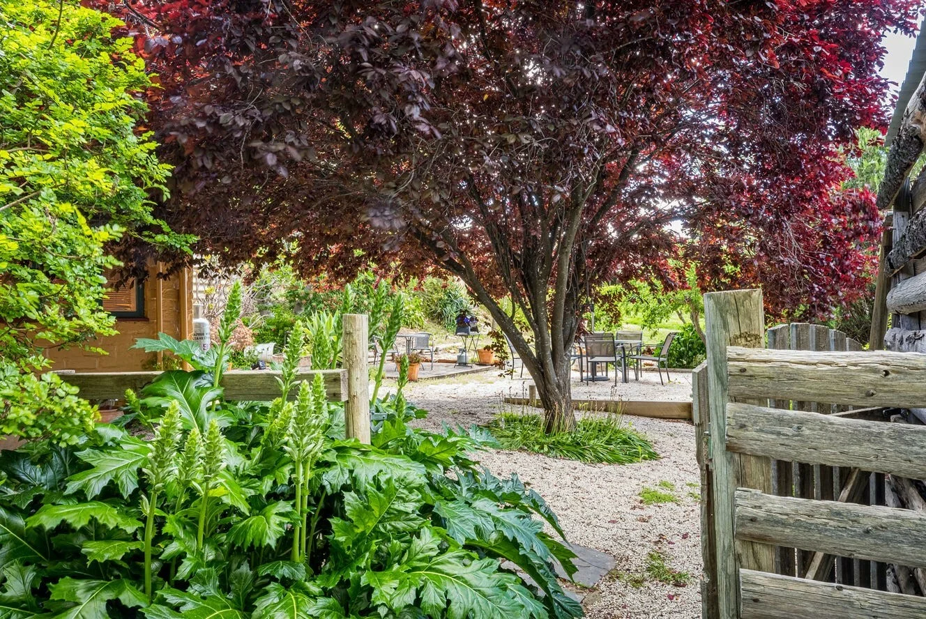 Additional image 27 of 7791 Horrocks Hwy, Penwortham SA 5453