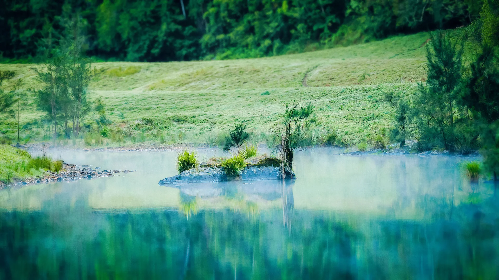 Additional image 45 of 1458 Darkwood Road, Bellingen NSW 2454