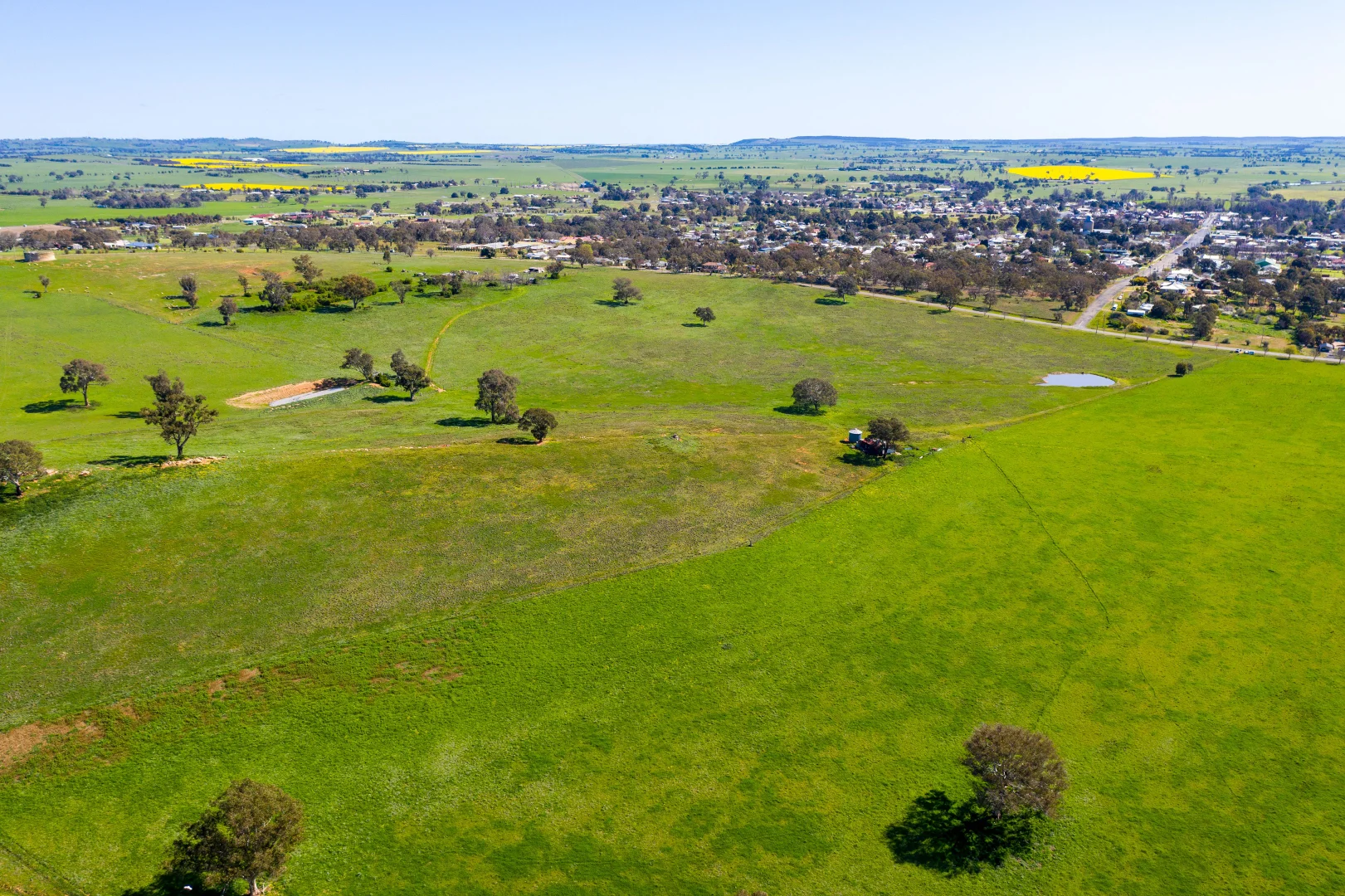 Additional image 6 of Lot 14 Long Street, Boorowa NSW 2586