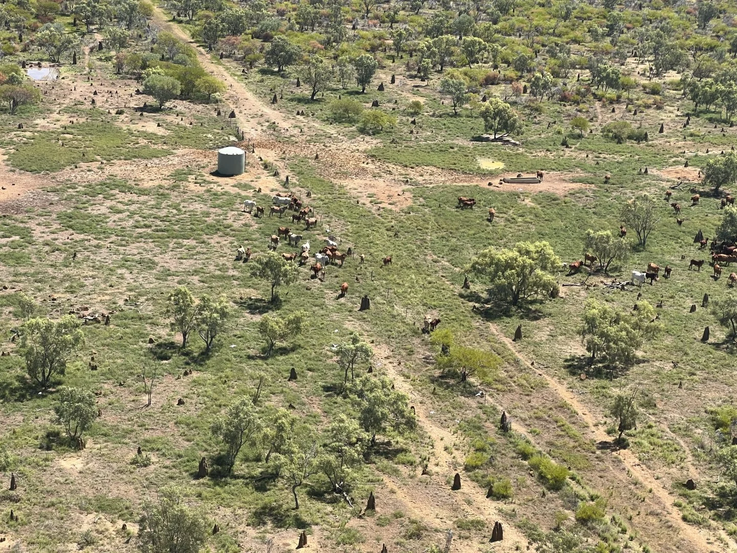 Additional image 9 of Benmara Station, Creswell NT 0852