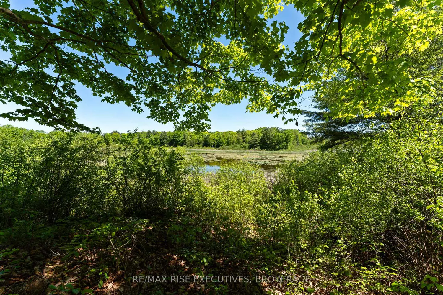 Pt 2 Spring Mill Lane photo 3