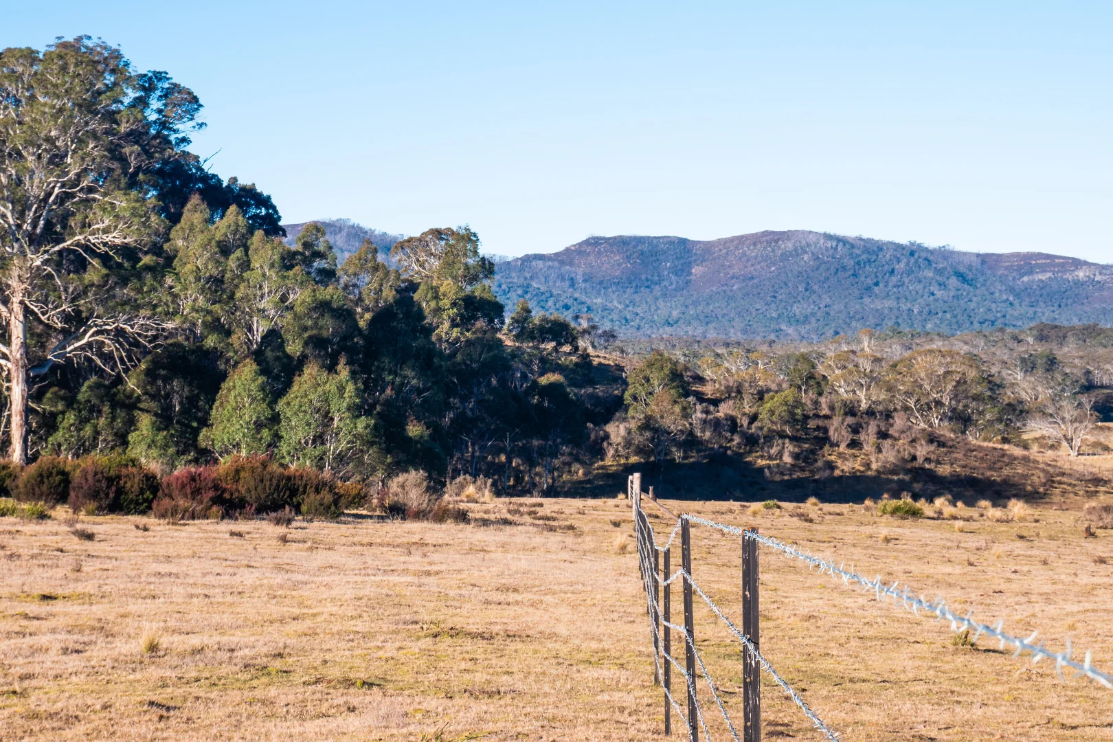 Additional image 36 of 1974 Tuross Road, Kybeyan NSW 2631