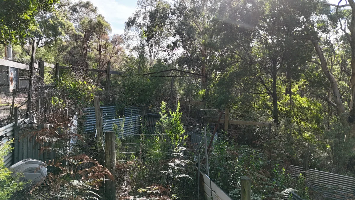 Additional image 15 of 318 Old Ocean Road, Glenaire VIC 3238