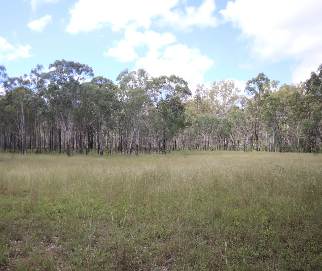 Additional image 7 of 'Greentree' Mundubbera-Durong Rd, Mundubbera QLD 4626