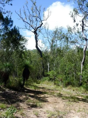 Additional image 14 of Lot 123 Two Chain Road, Koah QLD 4881