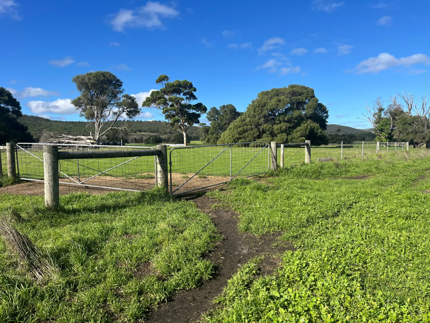 Additional image 2 of 181 Francis Road, Lowlands WA 6330