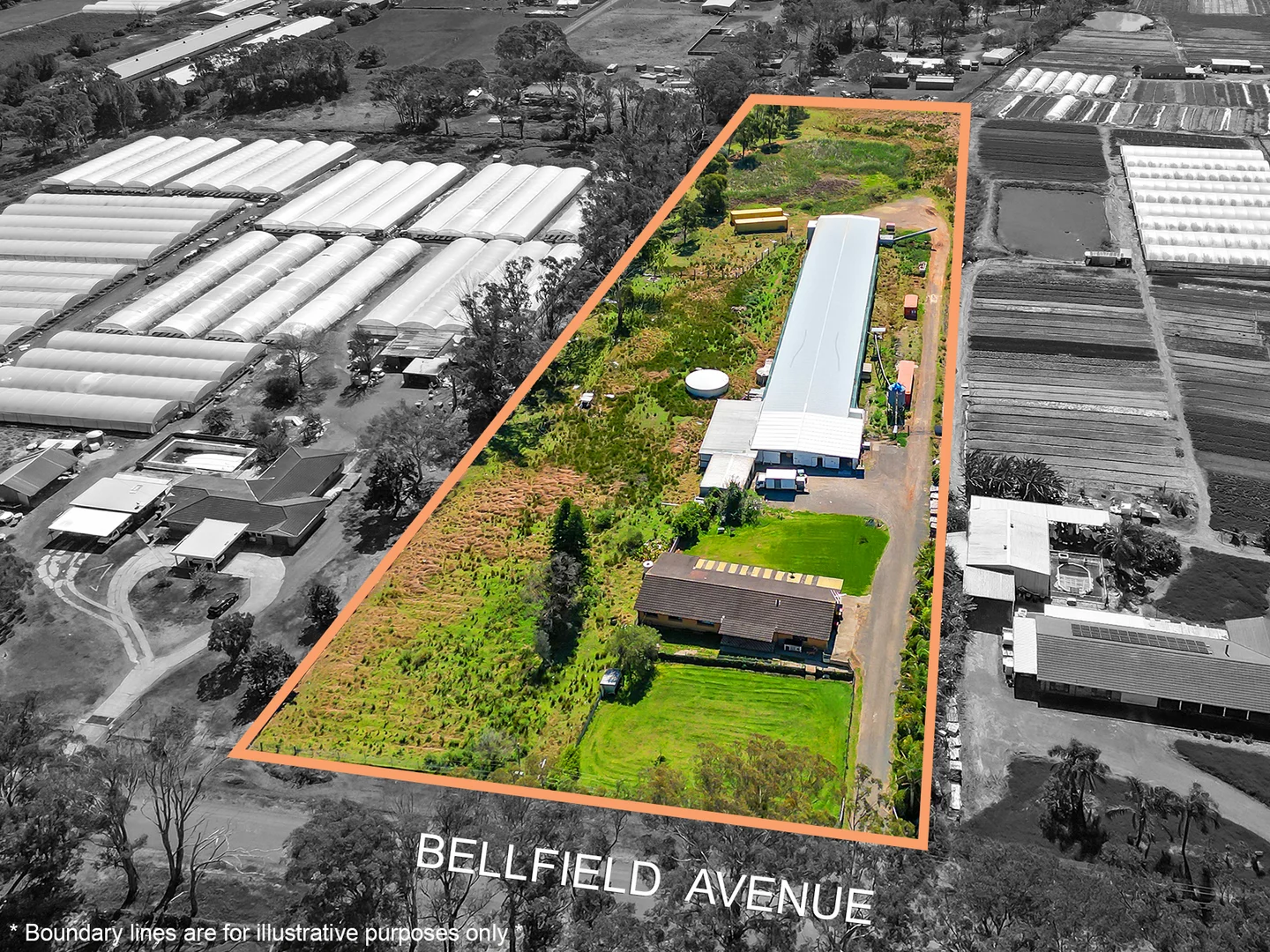 Additional image 5 of 21 Bellfield Avenue, Rossmore NSW 2557