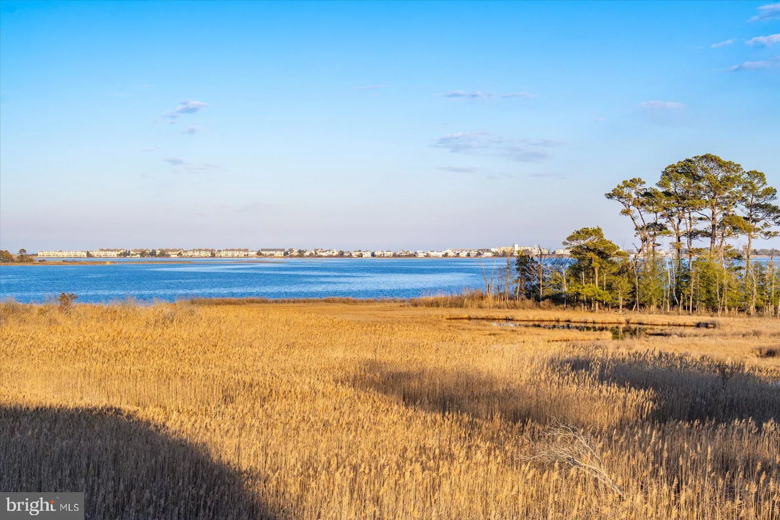 Additional image 192 of 38312 Ocean Vista Drive Unit 1082, Selbyville, DE 19975